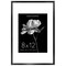 Americanflat Aluminum Picture Frame with Mat - Metal Photo Frame - Black Metal Molding Frame - Shatter Resistant Glass - Hanging Hardware